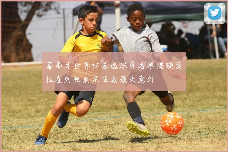 葡萄牙世界杯落选球员名单揭晓莫拉在列帕利尼亚成最大意外